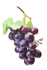 Grape fruit