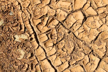 Fototapeta premium Dried earth
