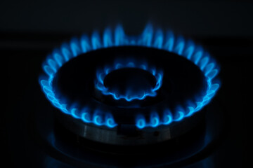 Blue flame gas in the dark. Burning gas, gas stove burner