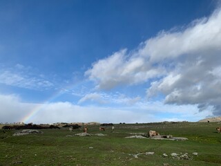 Obraz premium Arco Iris en Colmenar Viejo Madrid