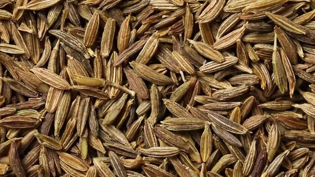 Dried  cumin seeds close up full frame