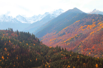 autumn in the mountains