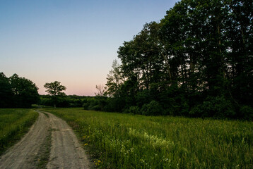 Fototapeta na wymiar sunset road in the field