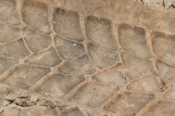 The excavator's tread imprinted in the ground.