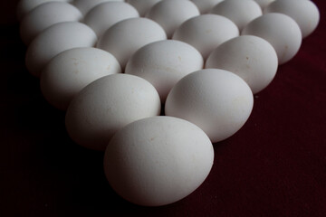 the eggs, on the table, with claret red background