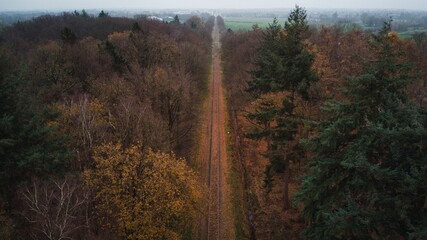 Fototapeta na wymiar Railroad through the forest