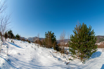 clearing in the winter mountains on a sunny day for outdoor activities and walks