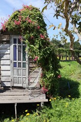 house in the garden