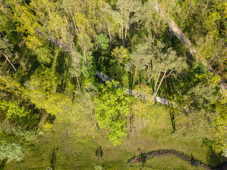 Aerial drone view. Kiev city park.
