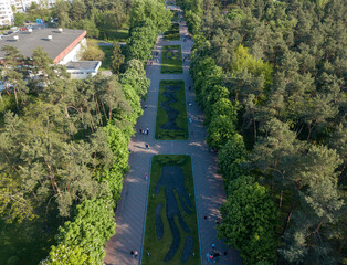 Aerial drone top view. Flower bed in the park.