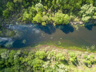 Aerial drone view. Pond in the city.