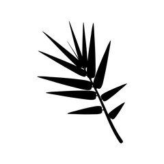 Bamboo top. Branch with bamboo leaves. Isolated on white background. Vector.