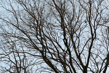 Autumn scenery of Jinju Castle River Park