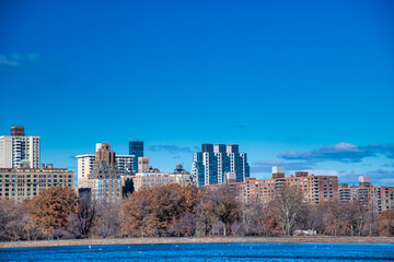 Fototapeta premium Manhattan skyline on a winter day from Central Park Lake, New York City