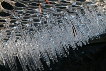 Close up of icicles of frozen water in freezing Winter weather hexagon metal wire covering garden...