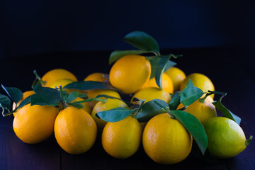 Lots of ripe and fresh lemons