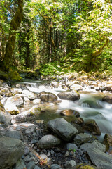 Fototapeta na wymiar Peaceful scene of flowing water in Olympic National Park outside Seattle, Washington