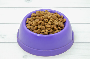 Dry dog food in plastic purple bowl on light wooden floor. Complete nutrient diet for pets, medicated food for elderly cats and dogs.