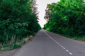 Paved road among green trees and vegetation. Symbol of a journey into the distance, close-up view from below. Grey concrete roadway on the ground surface