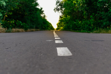 Paved road among green trees and vegetation. Symbol of a journey into the distance, close-up view from below. Grey concrete roadway on the ground surface
