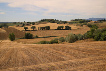 Fototapeta na wymiar Panorama on the Umbrian countryside, Italy