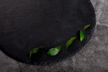 Black stone circle on a dark concrete background with green plant leaves. Background for food recipes, biology. Copy space