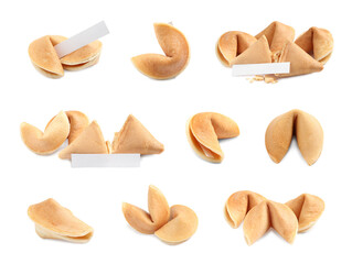 Set of fortune cookies on white background