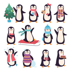 Obraz premium Penguins. Funny winter characters active pose little cute penguins in scarf and clothes vector doodles collection. Bird season greeting, new year characters polar illustration