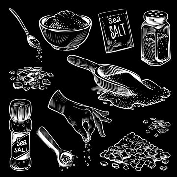 Sea Salt. Hand Drawn Spice Collection, Salting Crystals, Bottle With Powder, Saltshaker With Himalayan Salt, White Cooking Ingredient On Black Board, Chalk Drawing Vector Illustration