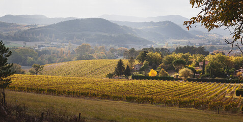 Autumn sunset over the vieyard in Drôme, France