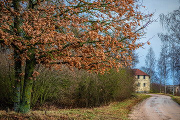 Fototapeta premium autumn in the village