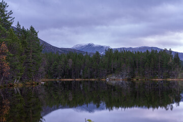 Fototapeta premium Góry Saltfjellet, Narodowy Park Svartisen w Norwegii 