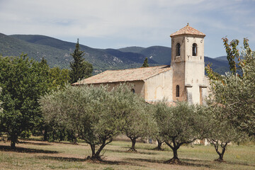 Church and olive trees in Lourmarin, Provence, France