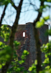 
Beautiful distant view through trees to the red bricks ruins of Bauska Castle 
