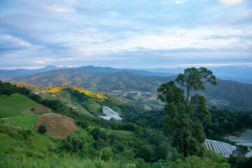 Obraz premium View point, Mae Ram Subdistrict, Mae Rim District, Chiang Mai, on the mountain, beautiful view and resort accommodation including trees, mountains, grass, sea fog, beautiful in winter.