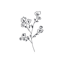 Fototapeta premium Summer petal flower bud. Doodle line digital outline. Print for design packaging products brand, wallpaper, postcards, beauty business, wrapping paper, fabric, sticker