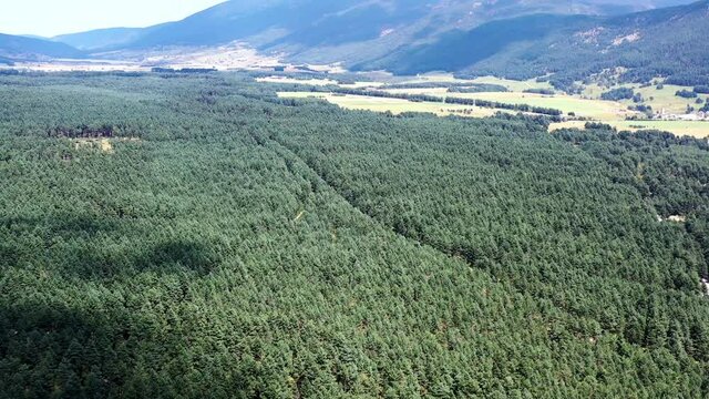 survol du lac et for&ecirc;t de Matemale