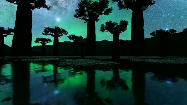 Baobab trees at nigh with amazing sky.