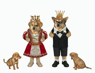 The queen of dogs in a golden crown, dressed in a beautiful dress, stands with her king and puppies. White background. Isolated.