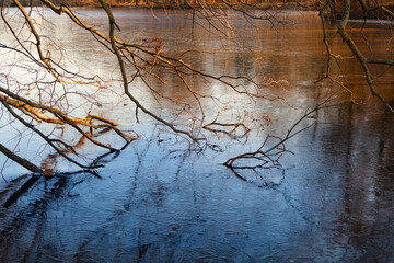 An ice-covered pond with frozen tree branches