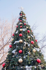 New Year tree on the background of tree branches. Christmas tree. Multicolored balloons.

