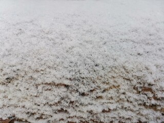 texture of snow-covered tree full-frame horizontal image