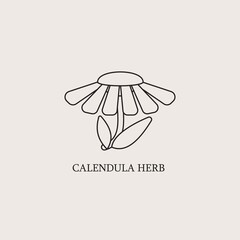 Vector monochrome emblems - healthy herbs for print or package design. Medicinal, cosmetic plant- calendula flower with leaves and petals. Logo or icon in trendy simple linear style. - obrazy, fototapety, plakaty