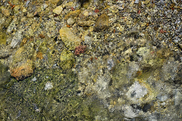 Clean water in a tatra mountains stream
