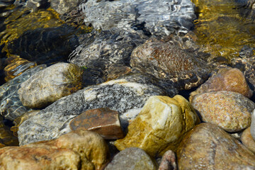 Fototapeta premium Clean water in a tatra mountains stream