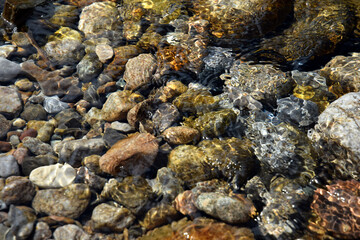 Clean water in a tatra mountains stream