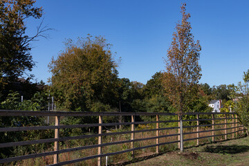 Fototapeta premium Fence along the Shore of the Rippowam River in Stamford Connecticut during Autumn