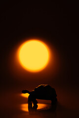 Silhouette de tortue au coucher de soleil. Figurines