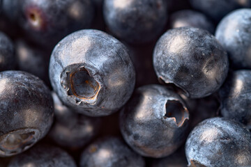 Lots of blueberries background image
