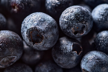 Lots of blueberries with water drops background image